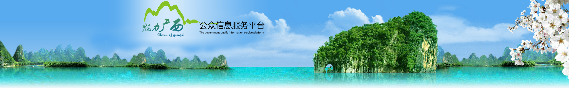 魅力广西