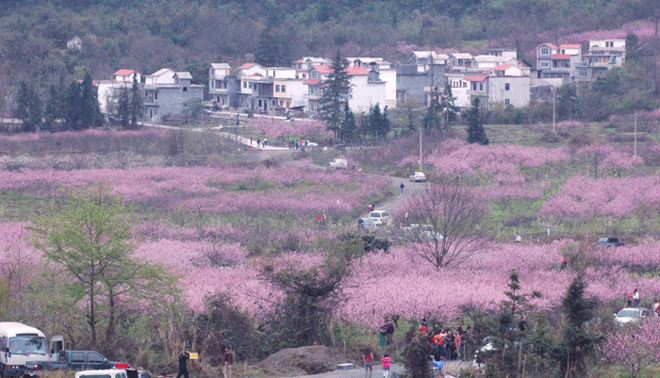 广西河池市金城江区