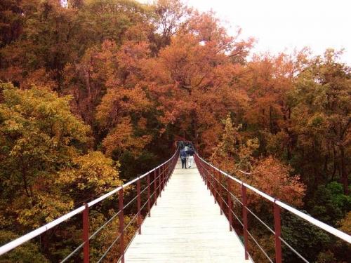 广西桂林灵川