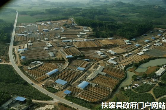 崇左扶绥