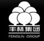  广西丰林木业集团股份有限公司