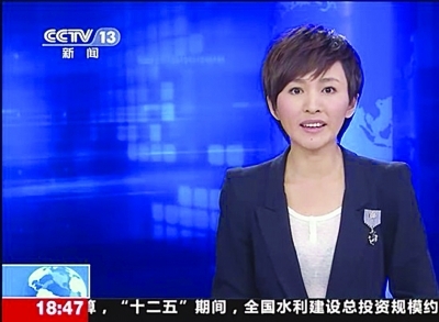 央视主播 欧阳夏丹