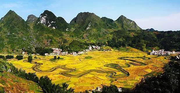 巴马命河